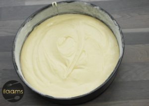Kuchen-mit-Vanille-Joghurt-Ohne-Butter-